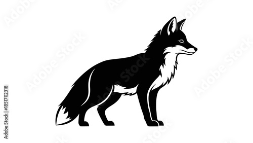 Black and white illustration of a fox standing in profile on a white background