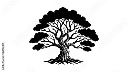 Stylized Black Silhouette of a Majestic, Ancient Tree with Intricate Branches and Roots on a White Background