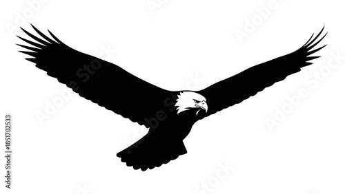 Majestic bald eagle in silhouette, soaring with wings outstretched against a white background, symbolizing freedom and power