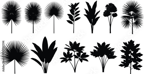 Black tropical plant leaf silhouette collection, exotic palm frond vector set, botanical floral elements for summer design, isolated nature garden foliage on white
