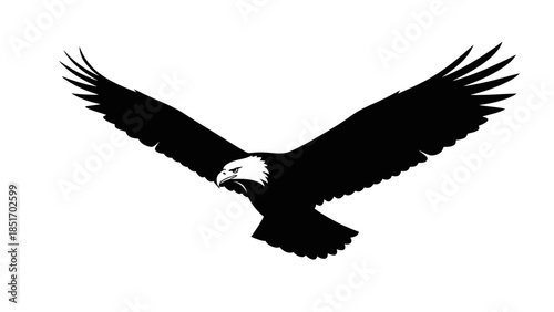 Silhouette of a majestic bald eagle in flight, showcasing its broad wingspan and fierce gaze against a clean white background