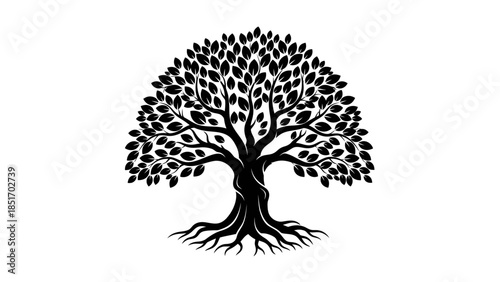 A visually striking black and white illustration of a large, mature tree with extensive roots, symbolizing growth, life, and natural beauty