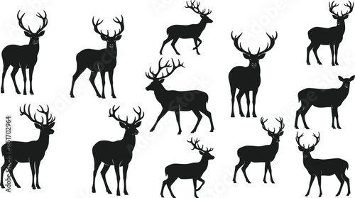 Set of deer silhouettes with antlers, wild buck standing and walking positions, forest animals vector icons isolated on white background for nature design