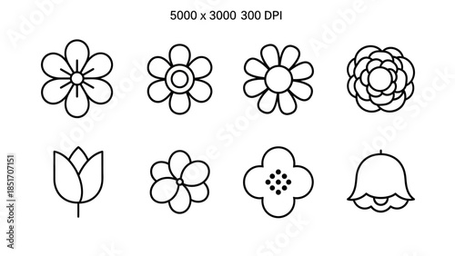 Set of eight abstract flat vector flowers for web and graphic design black outlines on a clean white background simple floral elements for various decorative purposes