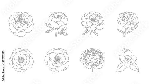 Set of eight elegant flower designs for various artistic projects delicate botanical illustrations perfect for invitations greeting cards and decorative elements showcasing diverse floral beauty
