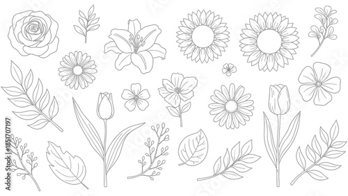 Minimalist outline set of various flowers and leaves black and white vector line art for branding logos wedding invitations and graphic design projects