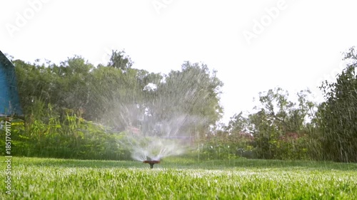 Automatic watering of the lawn in the garden
