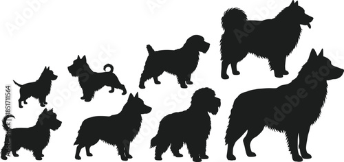 Dog breed silhouettes, set of eight, vector icons, diverse canine shapes, small to large dogs, varied tails and ears, editable EPS
