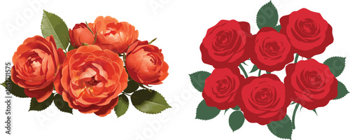 Two bouquets of red and orange roses with green leaves on white background