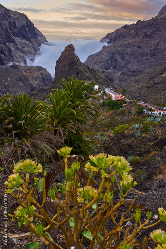 Masca village in morning mist