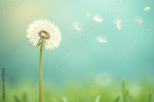 A single dandelion, its seeds gently carried away by the breeze, stands tall amidst a vibrant green field, a serene symbol of nature's delicate beauty and the ephemeral nature of time.