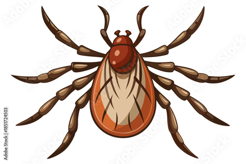 Realistic Tick Insect Illustration – Detailed Vector Parasite for Medical and Scientific Use