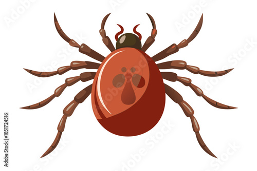 Realistic Tick Insect Illustration – Detailed Vector Parasite for Medical and Scientific Use