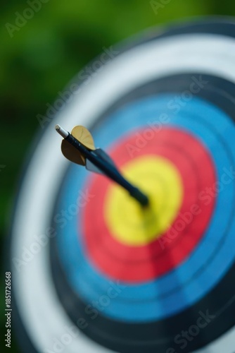 Close-up view of an arrow striking the center of a circular target, demonstrating precision and accuracy in archery