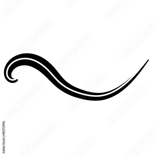 Ornamental flourish swirl design, elegant black decorative graphic embellishment element