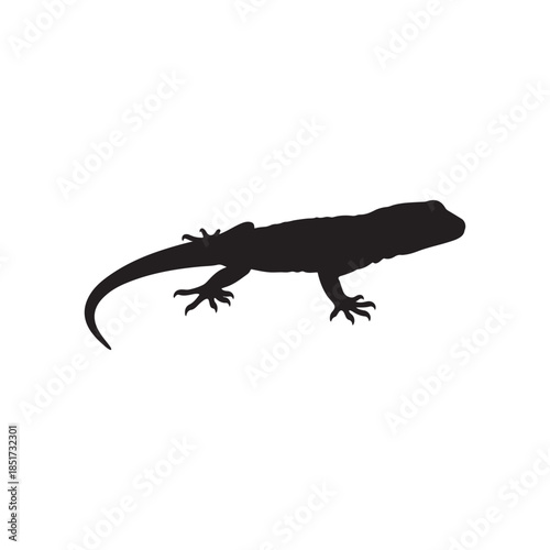 Gecko lizard gila monster silhouette vector flat illustration on white background