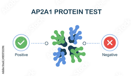 AP2A1 protein test infographic with positive and negative result icons