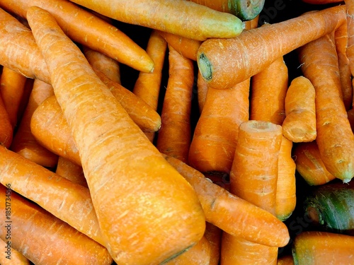 Close-up of fresh organic carrots pile in market. High angle view of ripe orange raw carrots background. Healthy root vegetables full of beta-carotene for cooking and nutrition
