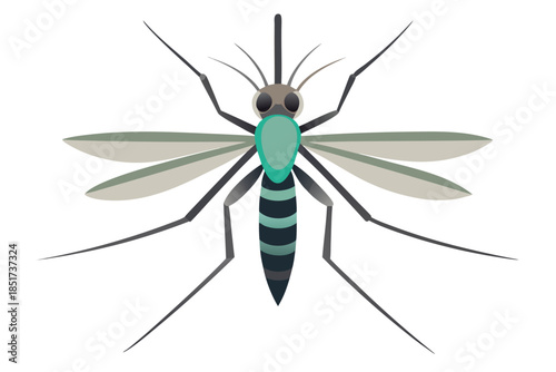 High-quality vector illustration of a mosquito in detailed line art style. This black and white insect outline is perfect for educational materials, biology textbooks, scientific posters, and healthca