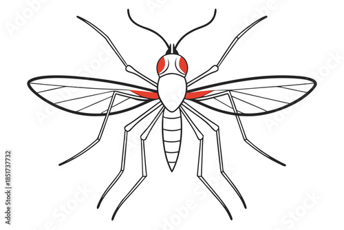 High-quality vector illustration of a mosquito in detailed line art style. This black and white insect outline is perfect for educational materials, biology textbooks, scientific posters, and healthca