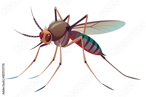 High-quality vector illustration of a mosquito in detailed line art style. This black and white insect outline is perfect for educational materials, biology textbooks, scientific posters, and healthca