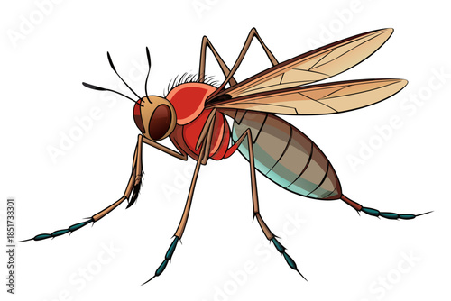 High-quality vector illustration of a mosquito in detailed line art style. This black and white insect outline is perfect for educational materials, biology textbooks, scientific posters, and healthca