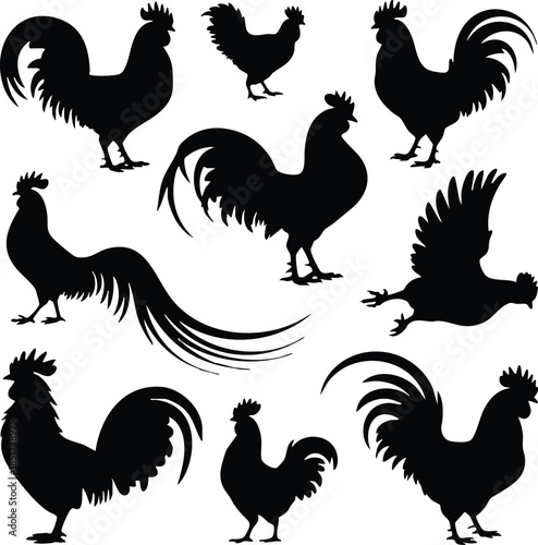 Rooster Silhouette Variety Collection, Poultry Action Poses Silhouette, silhouette, illustration, vector