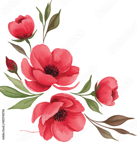 Vibrant red peonies with green leaves on white background illustration