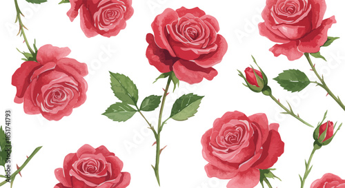 Vibrant red roses on white background with green leaves and stems