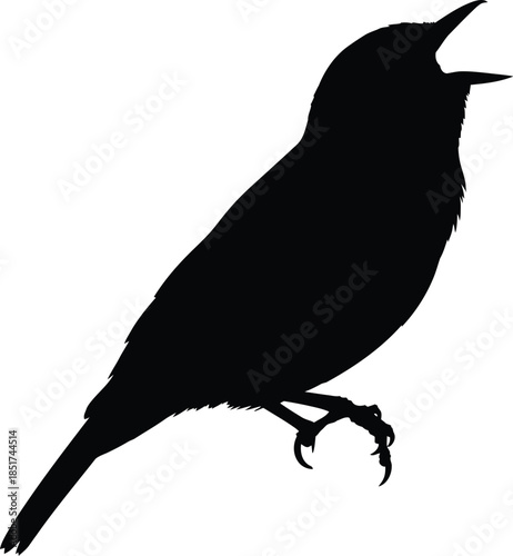 Silhouette of a small bird perched and singing