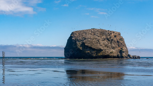 A huge rock on which birds live in Tikhaya Bay, located on the east coast of Sakhalin Island.