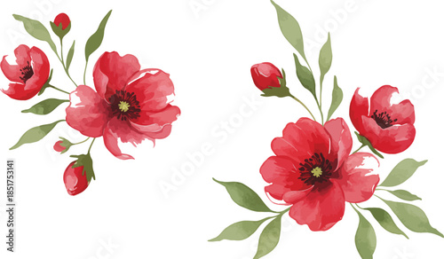 Colorful vases with sunflowers and daisies on white background