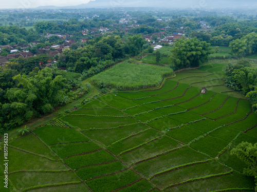 Peaceful aerial view of a traditional rural village and rice fields surrounded by lush greenery and distant lawu mountain under a cloudy sky. Residential area in the tropics.