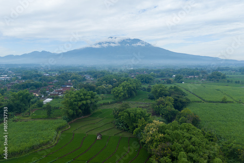 Stunning aerial landscape of lush green rice terraces with a majestic lawu mountain peak under clouds in the background. Scenic rural view in Java, Indonesia.