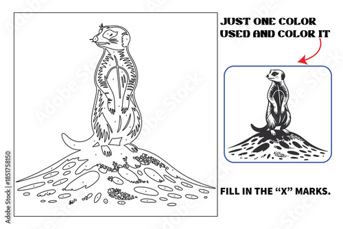 Animals Monochrome coloring pages for adults and teens with Amazon KDP book interior designs.