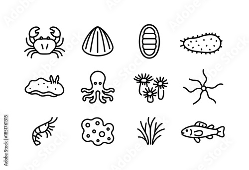 Tide Pool Icons. Rocky tide pool creatures. Line icon set of roc