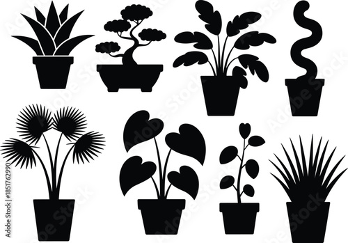 Black silhouette of various indoor houseplants in pots set, tropical palm bonsai and succulent home garden greenery icons, isolated vector illustration elements