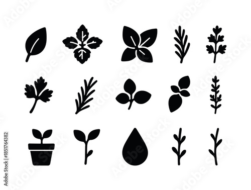 Herbal Icon Set. Herbal Icons. Solid icon set of Herbal Icons: l