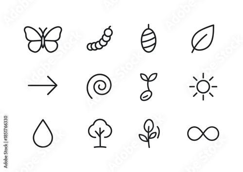 Transformation Line Icons. Transformation. Line icon set of tran