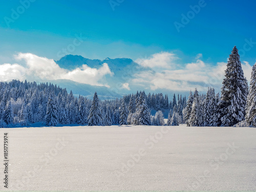 This photograph captures a beautiful winter mountain landscape blanketed in fresh snow. Snow-covered peaks, frozen valleys, and silent forests create a serene and pristine alpine atmosphere. 