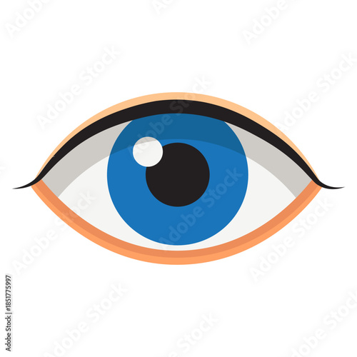 Blue Eye with Pupil and Iris