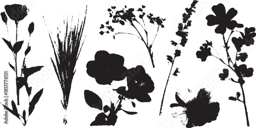 Black flower silhouettes in a botanical vector illustration set. This collection features a variety of plants, perfect for creative design projects.