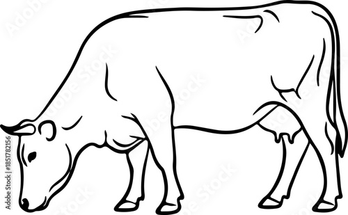 Clean line art drawing of a farm cow grazing, capturing the peaceful essence of agricultural livestock and rustic country life