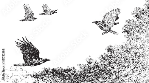 Bird silhouettes flying in the sky. Simple black and white vector illustration showcasing nature and freedom in a set.