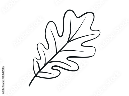 Simple outline drawing of a single oak leaf on a white background