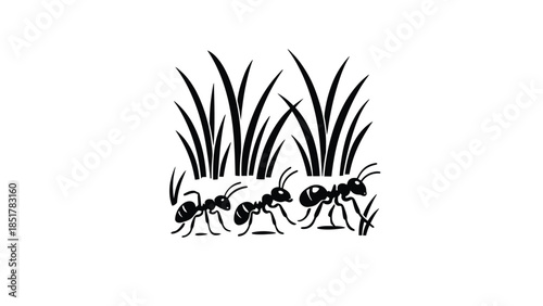 Three ants march in a line through tall grass.