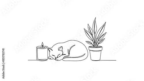 A sleeping cat rests beside a candle and a potted plant.