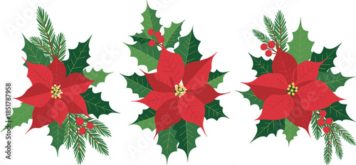 Christmas floral arrangement vector set, poinsettia, holly leaves, pine needles, red berries, festive decoration, winter holiday design, seasonal illustration