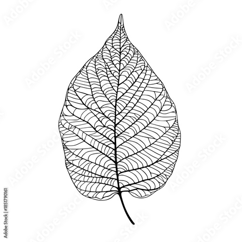 Elegant Line Art Crocheted Leaf Shawl | Clean, isolated vector art for creative projects.