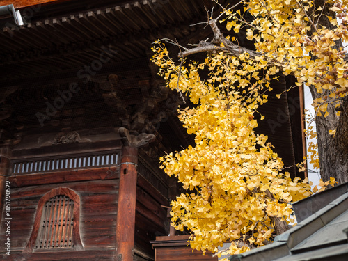 善光寺　長野市